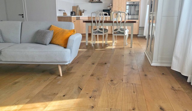 Cozy Swiss apartment