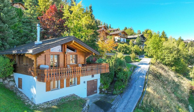 Dolce Cabane by Interhome