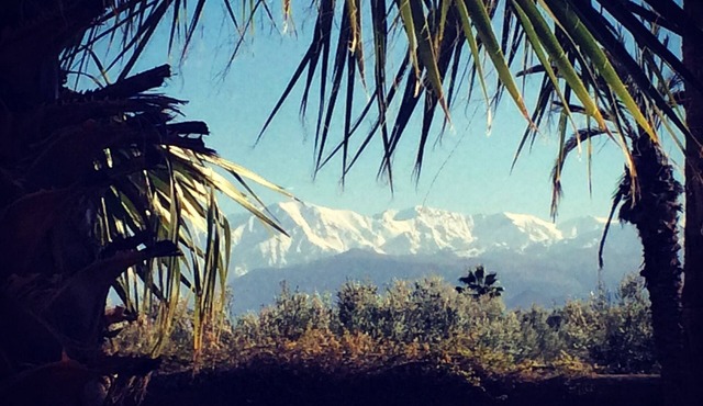 Exceptional residence surrounded by olive trees with breathtaking views of the Atlas in Marrakech