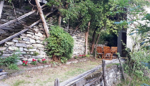 GREEN HOUSE AND RELAXATION