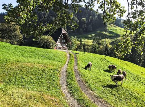 Holiday Home Rüttimätteli by Interhome