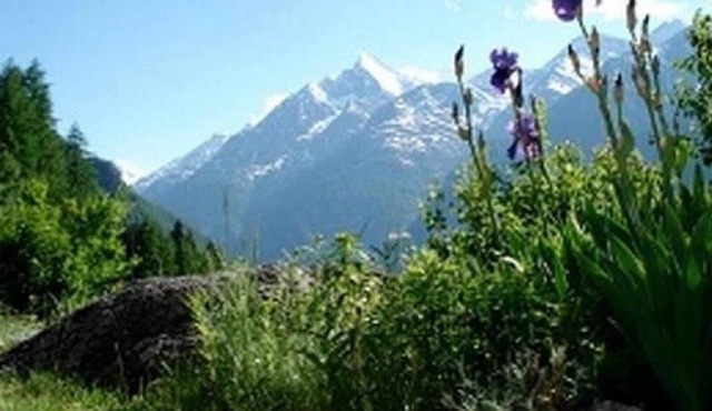 Holiday house Grächen for 4 - 9 persons with 4 bedrooms - Holiday house