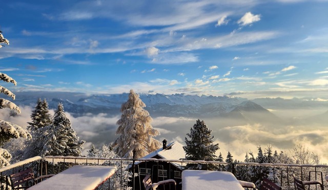 Hotel Bergsonne Rigi