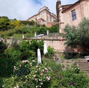 Il giardino di Olivia in Guarene