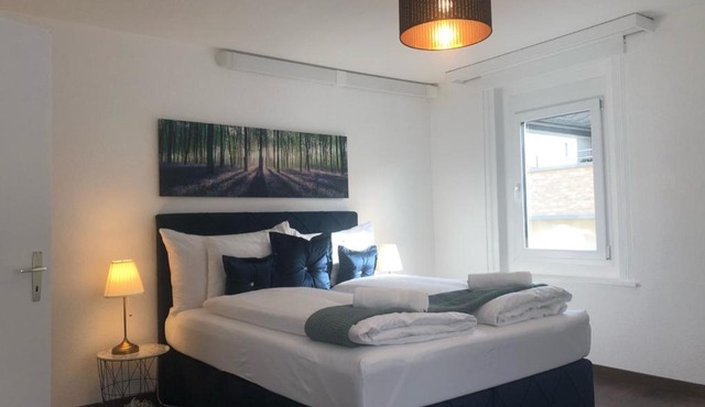 INN JOY Apartments - Sankt Gallen Lachen