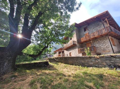 La casa del Gigante Frassino in Acceglio