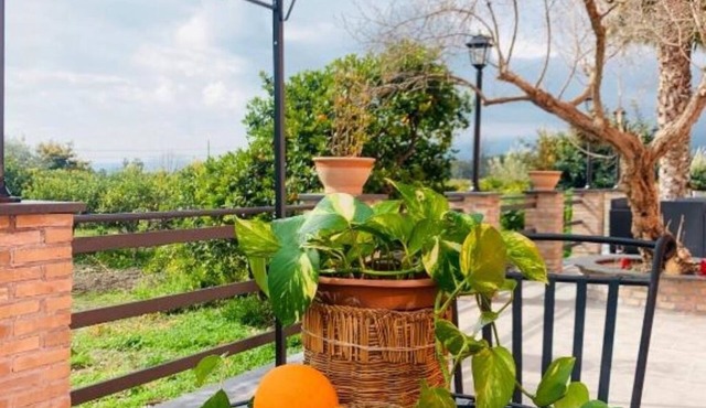 La Pomelia B&b Sofia - La Foresta in Trappitello