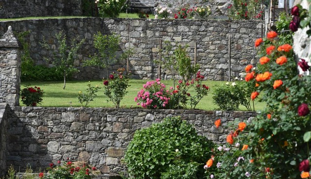 La Rosa al Roseto del Drago in Ponte in Valtellina