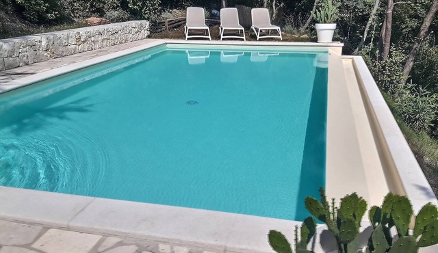 lakeview and modern saltwater pool
