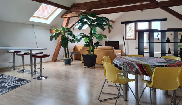 Large bright loft + bedroom in old barn on the wine route in Saint-Nabor