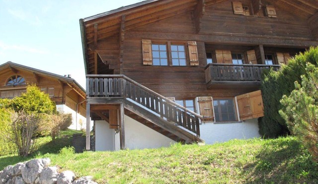 Les Hivernants (EG links) Appartement/Fewo, Dusche oder Bad, WC, 1 Schlafraum by Interhome