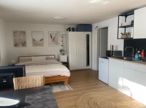 Magnifique studio dans une villa