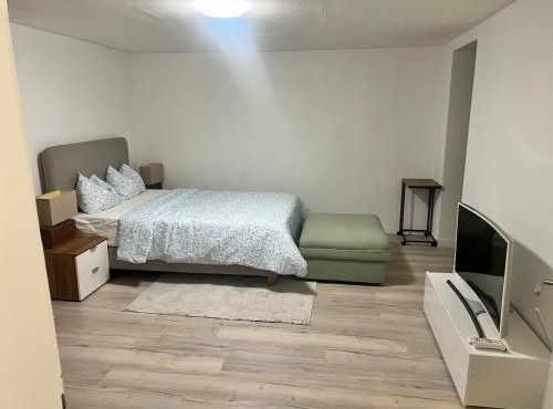 Newly Renovated Stylish & Spacious Studio