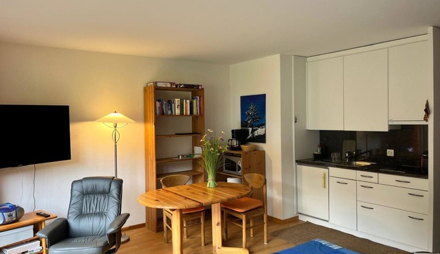 Obm See Appartement/Fewo, Dusche oder Bad, WC 1½-Zimmerwohnung by Interhome