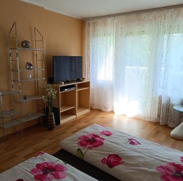 Offenburg Apartment in Offenburg