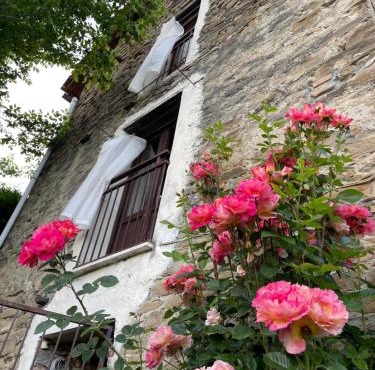 Orbregno Country Houses with Personal Wine Cellar