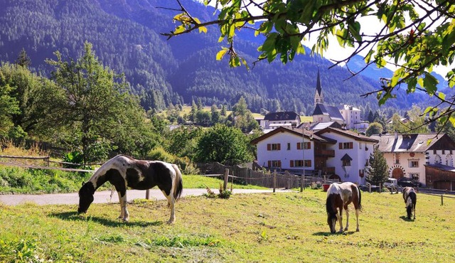Paclera Hof Agrotourismus
