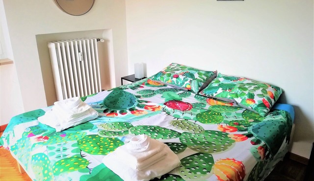 PalaAlpitour/Famous Sporting Event Stadium/Lingotto/Centro two-room apartment in Torino
