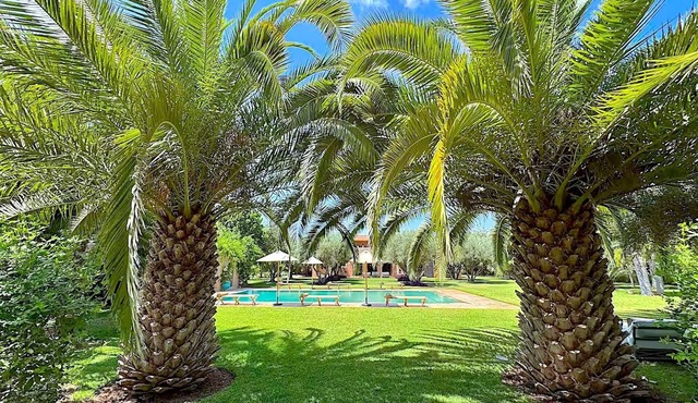 Palais Danka in Marrakech