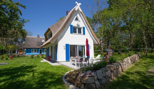 Picturesquely situated thatched-roof house in a large park-like garden in Dranske
