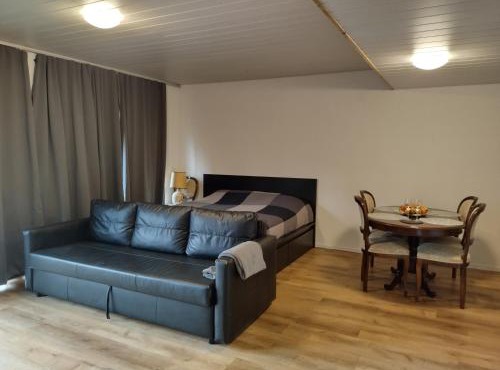 Spacieux studio 38m2