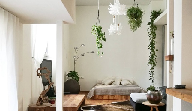 Splendid Loft, finely restored and furnished.