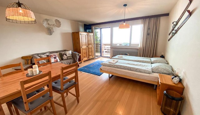 Studio Apartment Alpine Lodge (36m2) - Bettmeralp - Ski in/out - South facing, overlooking the Alps