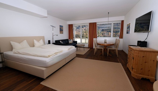 Studio Hotel Europa Apt 411