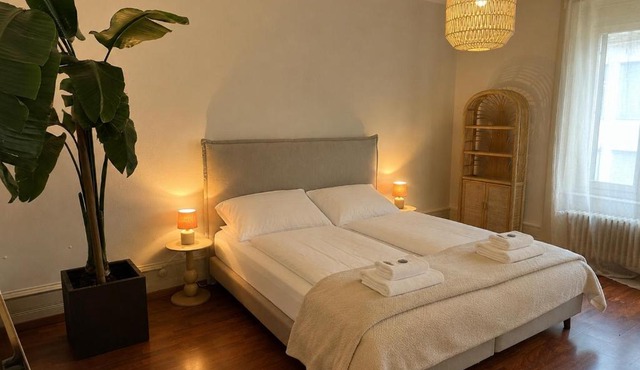 Stylish old building - Parking - 16 minutes to Zurich