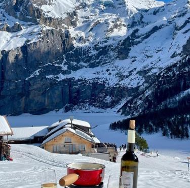 Swiss Alps Lodge