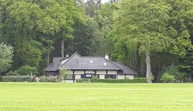 Vacation home for 12 guests with 160m² in Werlte (126910) in Werlte