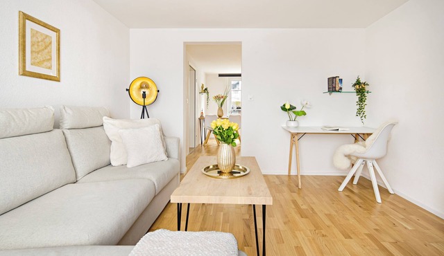 VISIMO Apartments Felsenstrasse St Gallen - Elegant heritage building in a quiet neighbourhood