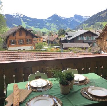 Wonderful apartment overlooking the Swiss alps