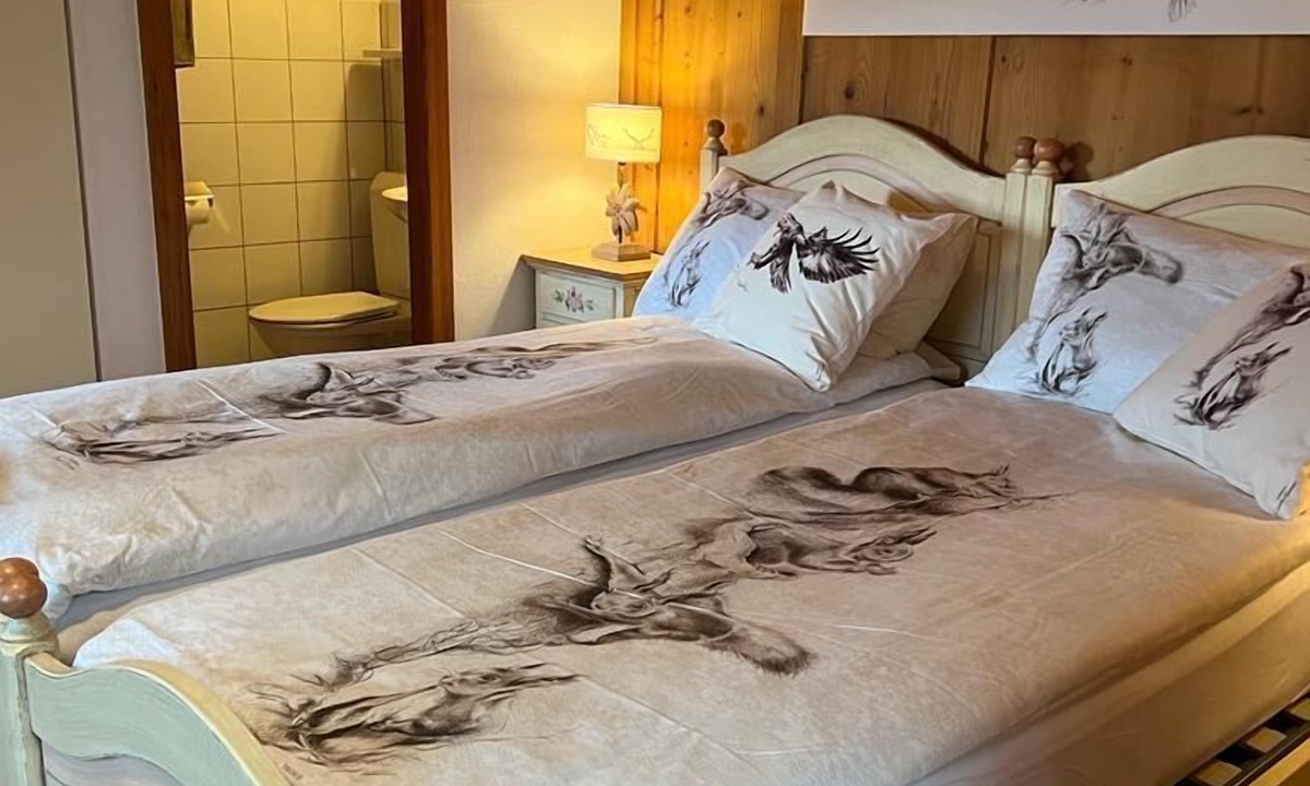 Salouf Hotel | Gasthaus Alpina Salouf