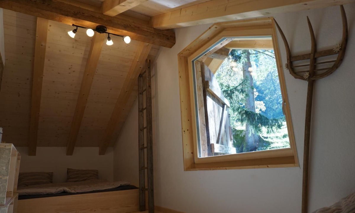 Reichenbach Ski Chalet | Wollhaus Oberzwirgi 6-bed flat