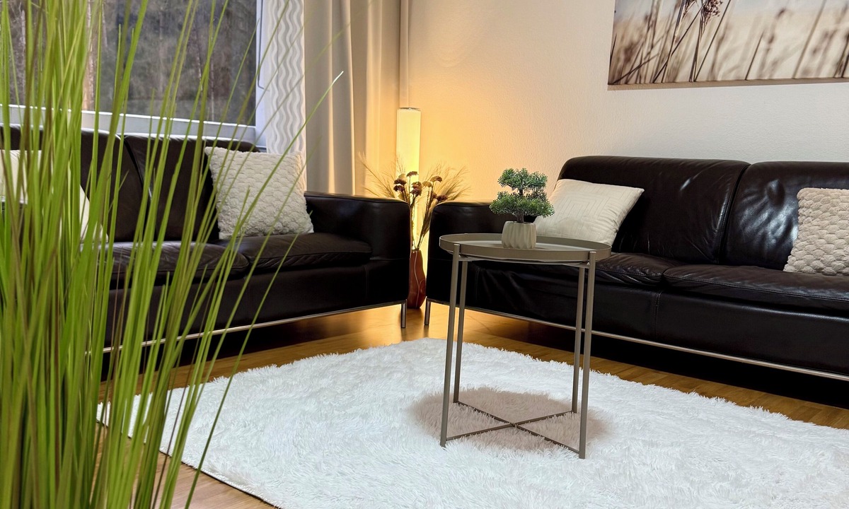 Nussbaumen Apartment | Skyline Retreat in zentrum Baden Swissholidays