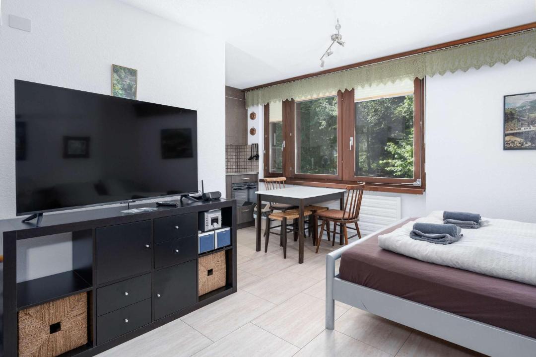 Nuegg Apartment | Cozy Alpine Studio in Wiriehorn with Parking