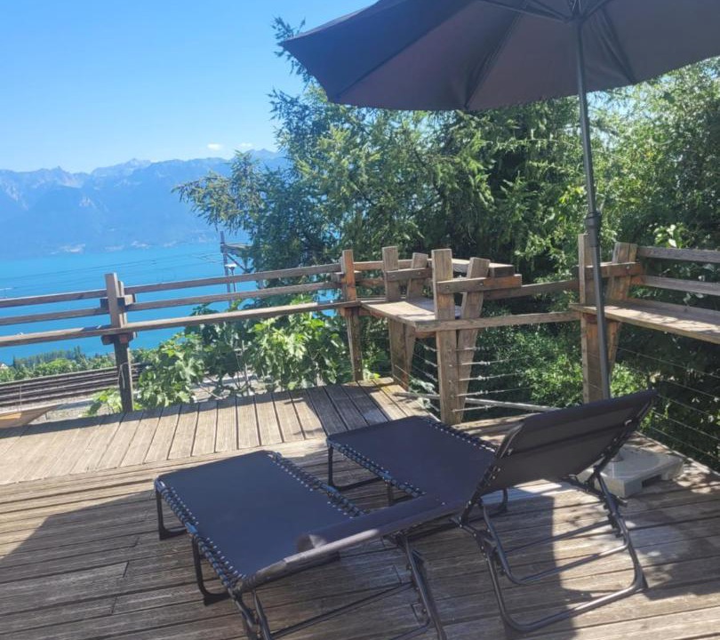 Bourg-en-Lavaux Apartment | Loft duplex à Grandvaux entre vignes et vue sur le Léman