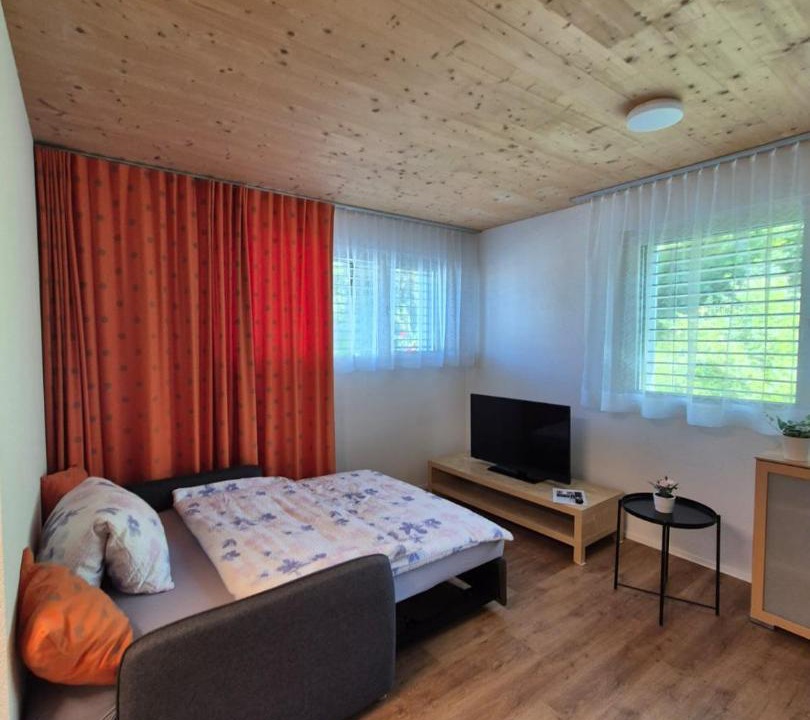 Zuchwil Apartment | Ruhiges, schönes Studio in Zuchwil