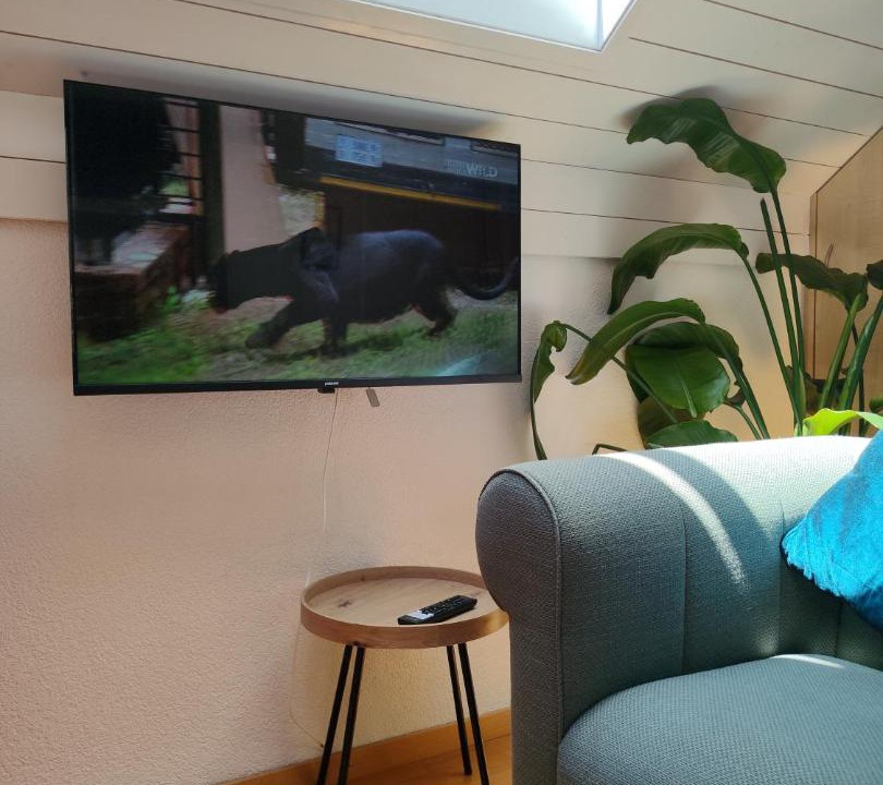 Allschwil Other | Family room in a House in Allschwil, Basel