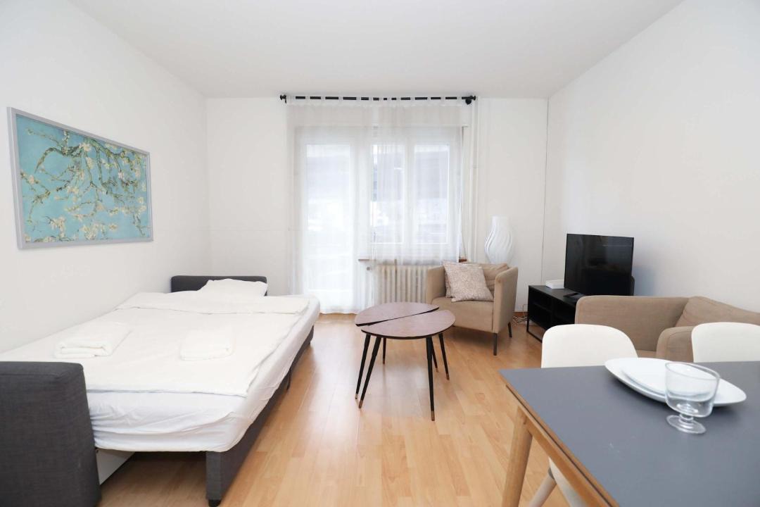 Alt-Wiedikon Apartment | Airy Apartment Near Uetliberg Nature