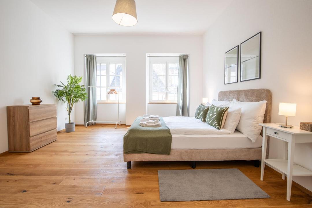 Basel City Centre Apartment | Spacious Apartment in Central Basel near Rhine - Special TOP LUX 24 Apartment, Basel, up to 8 guests
