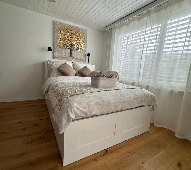 Schonenwerd Apartment | Gästehaus MaryVitty, zentrale zwischen Aarau und Olten, gut verbunden