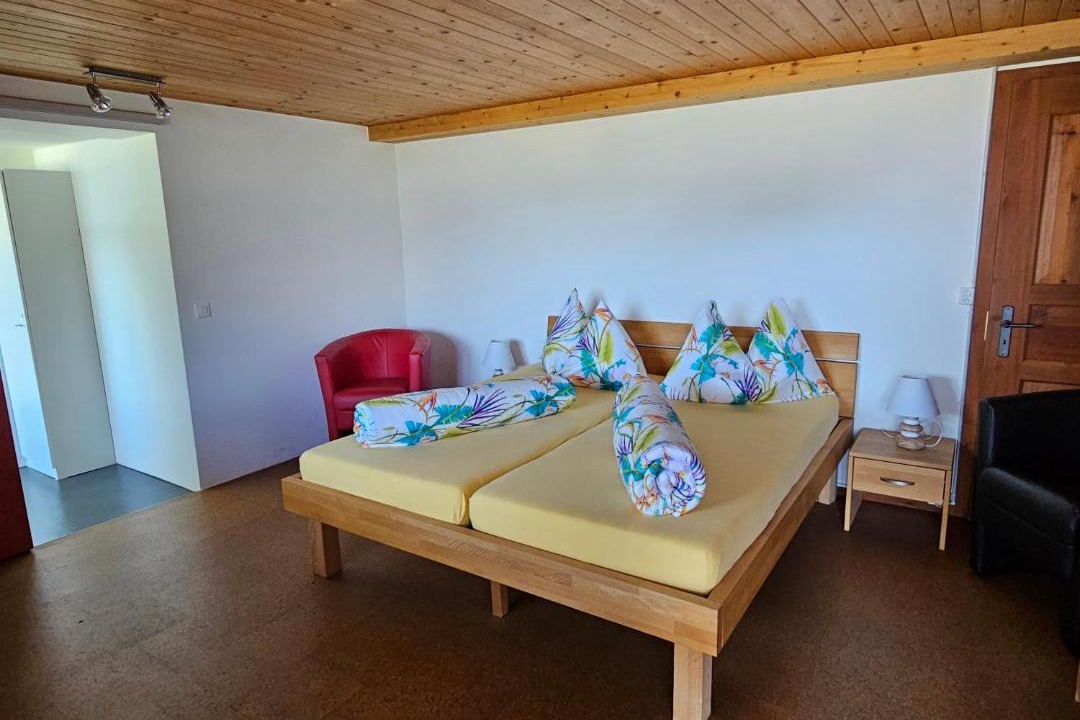 Sarn Apartment | Försterhaus Dalin Ferienwohnung Schweizer Alpen