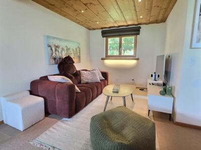 Chateau-d'Oex Apartment | Appartement Panorama B