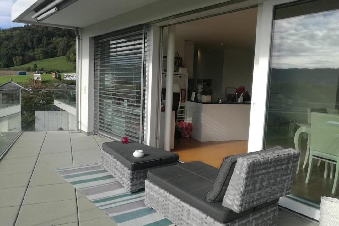 Dietikon District House | Harmony in the Limmat Close to Zurich