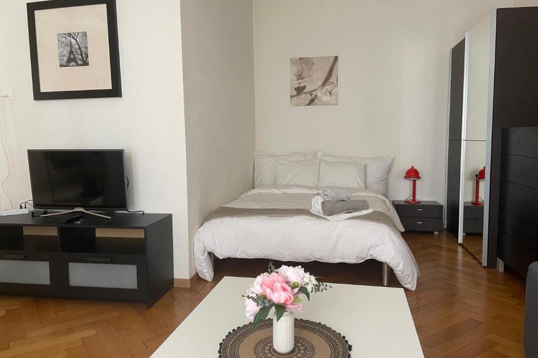 Lausanne Apartment | Appartement clame 6 minutes de la gare de Lausanne