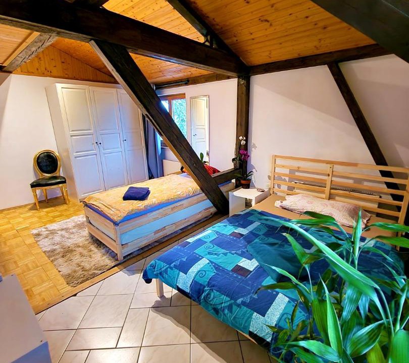 Munchenstein House | Blau bright room in nice apartment