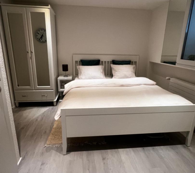 Nussbaumen Apartment | Cozy studio in the heart of Baden