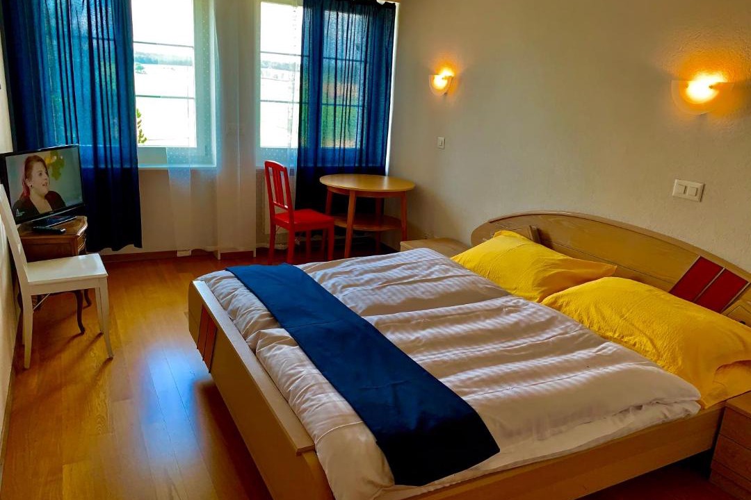 Romont Hotel | Hôtel Lion d'Or Romont